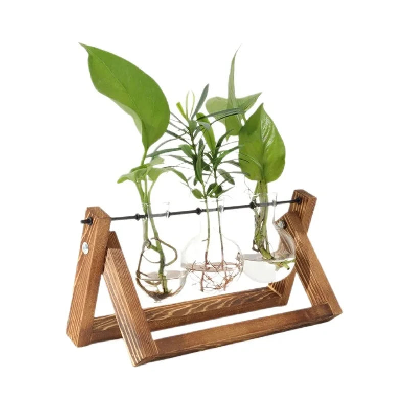 Plant Glass Container with Wooden Stand, 3 Glass Bulb Planters, Plant Nurturing Station, Gifts for Plant Lovers, Home Decor Vase