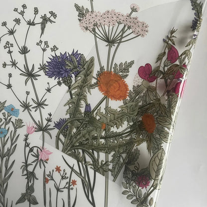 Wild flowers Wall Stickers for Kitchen Backsplash, Botanical Wall Border Sticker, Peel and Stick, Dining Room Decoration