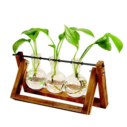 Decoración de bonsai Vase de flores Planta Transparente Jarrón Marco de madera Decoración de vidrio Tablero de mesa de vidrio Tazón en forma de flor