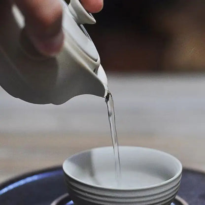 High quality Travel tea set Include 1 Pot 1 Cup,china good product Kung Fu Teaset,High quality elegant gaiwan easy teapot kettle