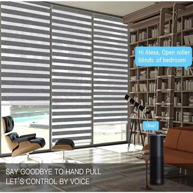 2025Customized Blinds Wifi And Phone Control Dual Fabric Rechargeable Zigbee  Motor Motorized Zebra Roller Blinds For Window
