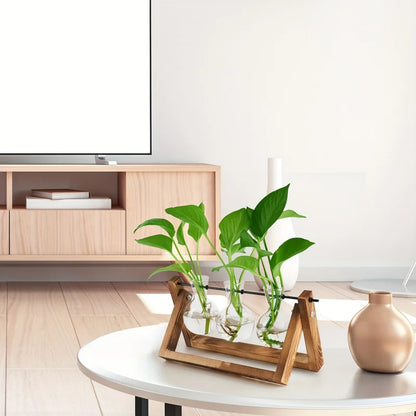 Plant Glass Container with Wooden Stand, 3 Glass Bulb Planters, Plant Nurturing Station, Gifts for Plant Lovers, Home Decor Vase