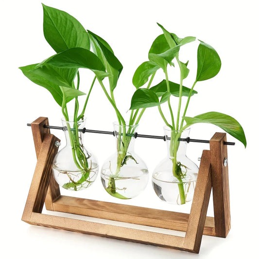 Plant Glass Container with Wooden Stand, 3 Glass Bulb Planters, Plant Nurturing Station, Gifts for Plant Lovers, Home Decor Vase