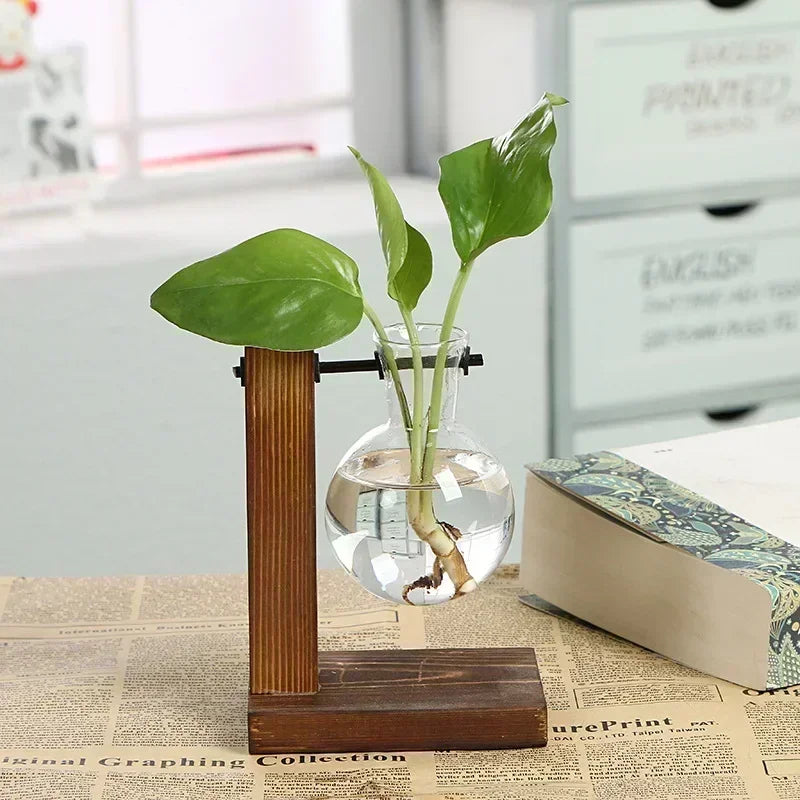 Terrarium Hydroponic Plant Vases Vintage Flower Pot Transparent Vase Træ ramme Glas Tableplanter Hjem Bonsai -indretning