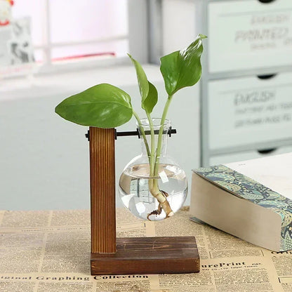Terrarium Hydroponic Plant Vases Vintage Flower Pot Transparent Vase Træ ramme Glas Tableplanter Hjem Bonsai -indretning