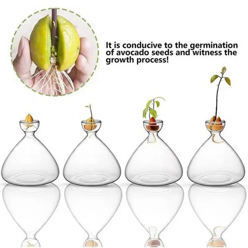 Vază de semințe de avocado vază de sticlă transparentă vază de sticlă pentru creșterea semințelor de semințe de sticlă pentru plante pentru iubitorii de grădinărit