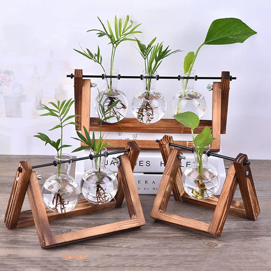 Vaze plante hidroponice vase de sticlă vintage bonsai flori pot terrarium tavă tavă din lemn cadru de casă decor de casă