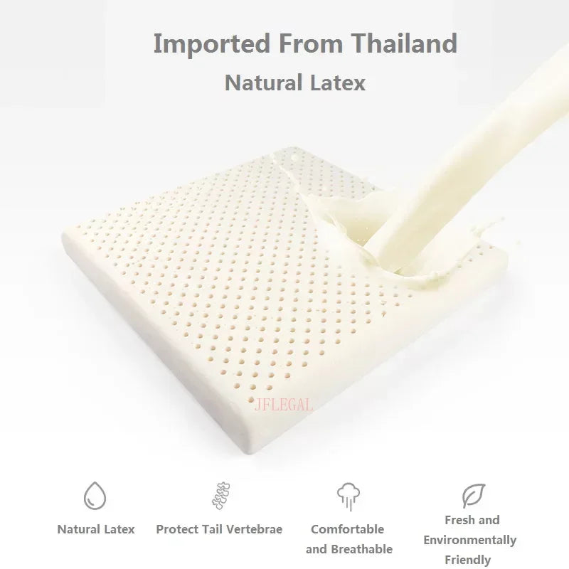 Jflegal Thailand Natural Latex Cushion, Lindra ömma skinkor kudde, tvättbar fyrkantig kontorsstoldyna 40x40/45x45cm cojin