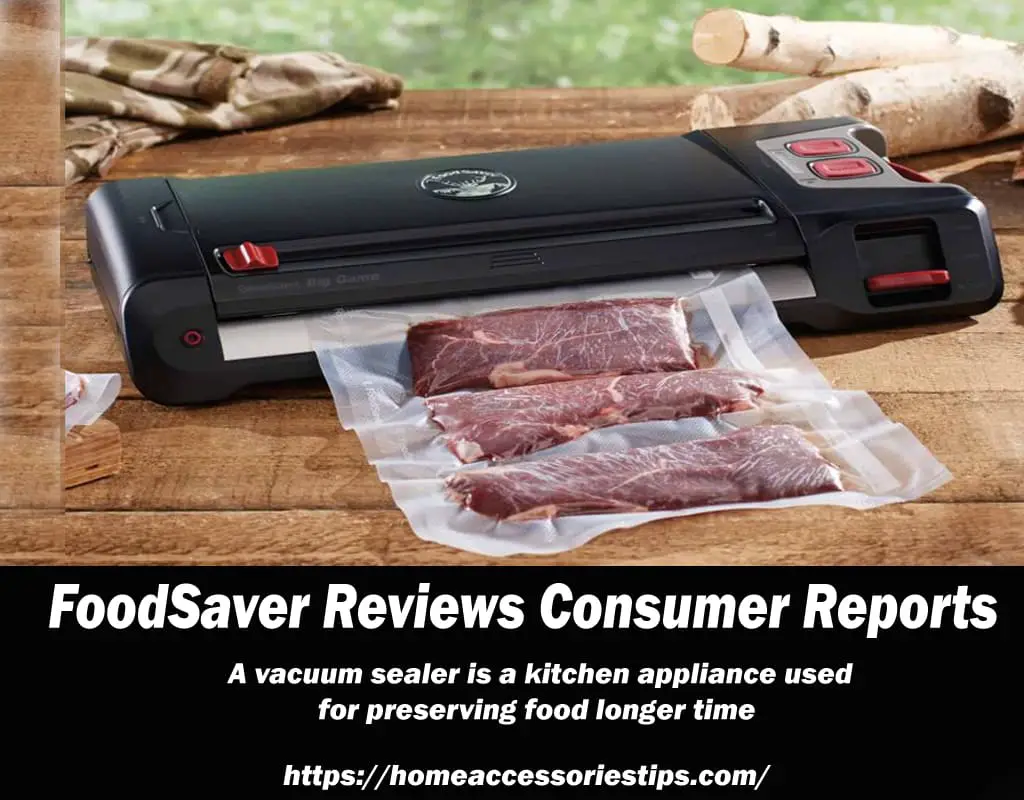 FoodSaver Reviews Consumer Reports
