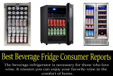 Best beverage fridge consumer reports (Buying Guide)